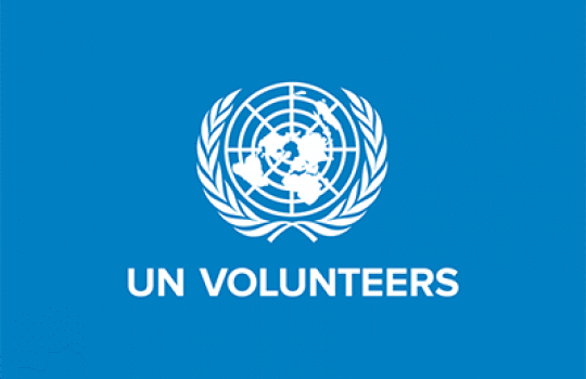 How to Become a UN Online Volunteer