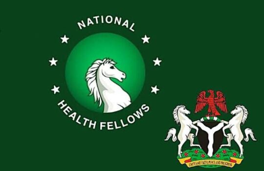 National Health Fellows Programme